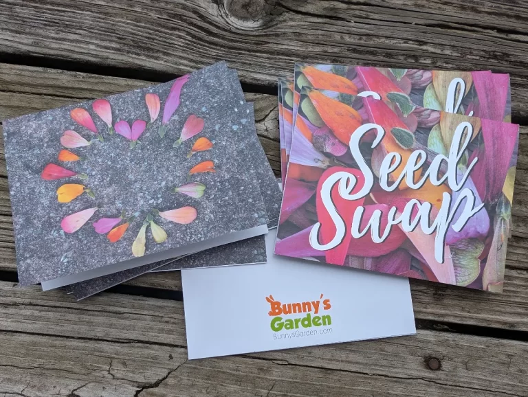 Seed Swap Greeting Cards made with our own flower petals from Zinnias in our garden