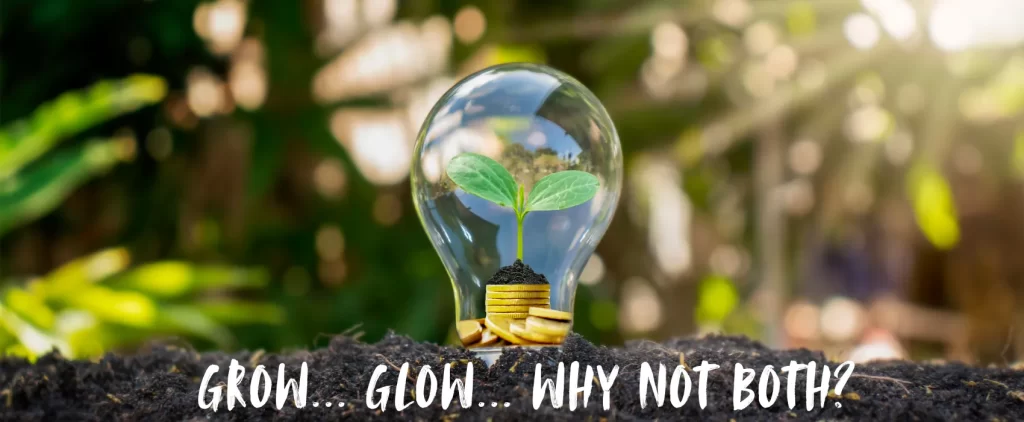 Grow, Glow, Why Not Both? Lightbulb planted in soil with seedling growing inside